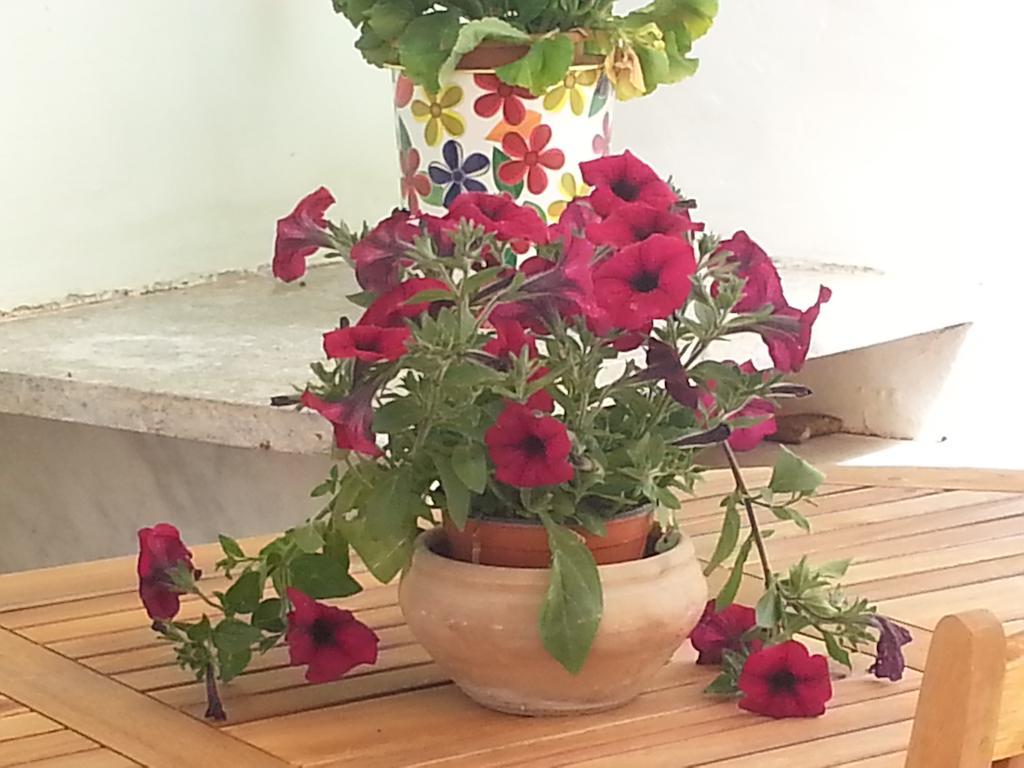 Appartamento Il Giardino Del Purgatorio Marsala Esterno foto